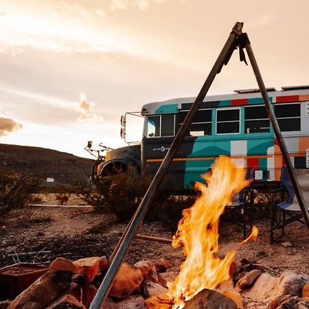 Camping At Desert Gardens Oasis In Lobo, Tx Ван-Хорн Экстерьер фото