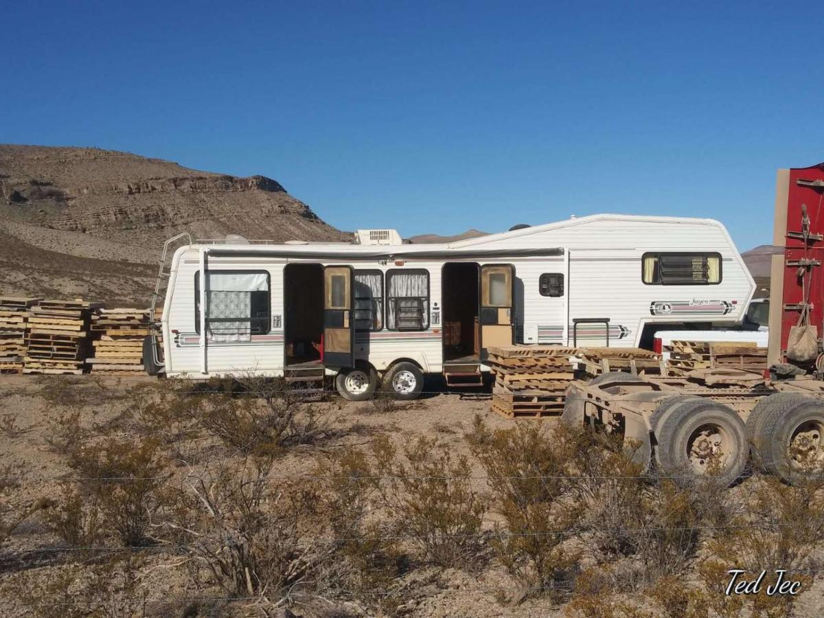 Camping At Desert Gardens Oasis In Lobo, Tx Ван-Хорн Экстерьер фото